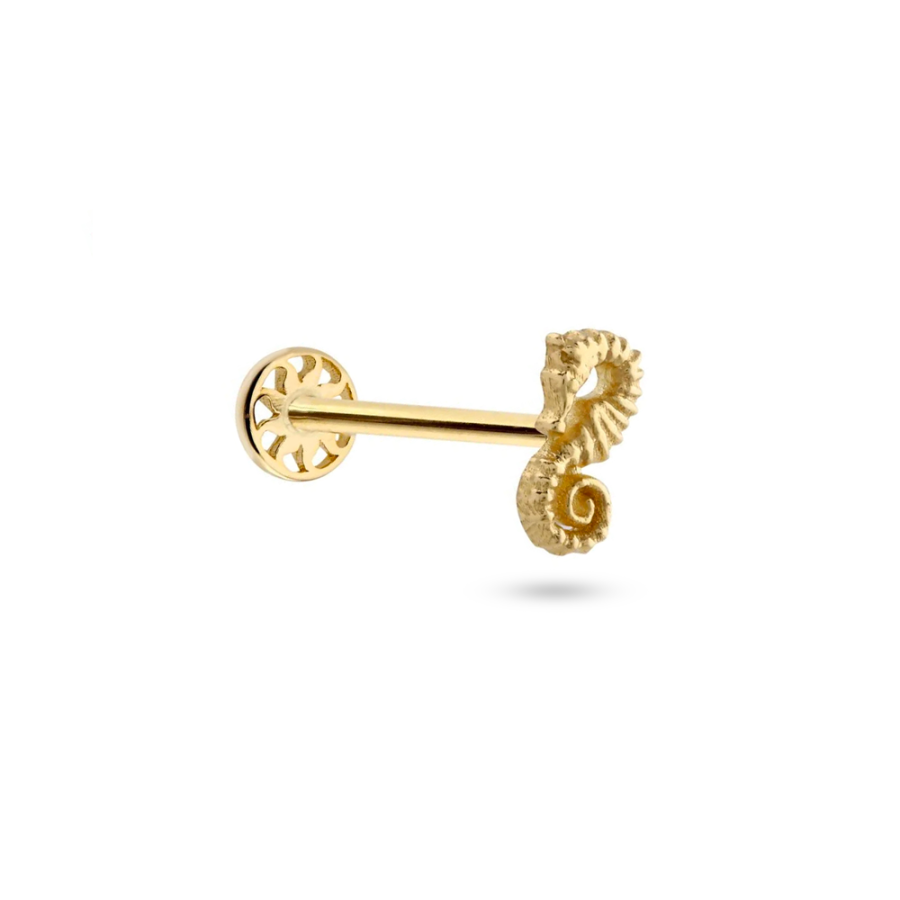 Denizatı Altın Piercing PRC0078 - Küpeler