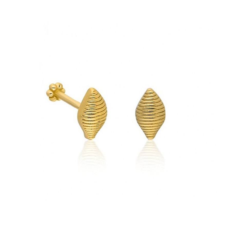 Deniz Kabuğu Altın Piercing PRC0015 - Küpeler