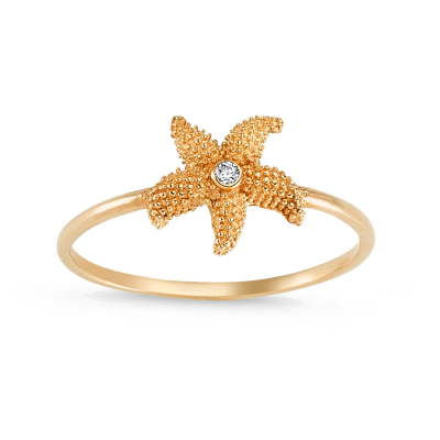 Sea Star -